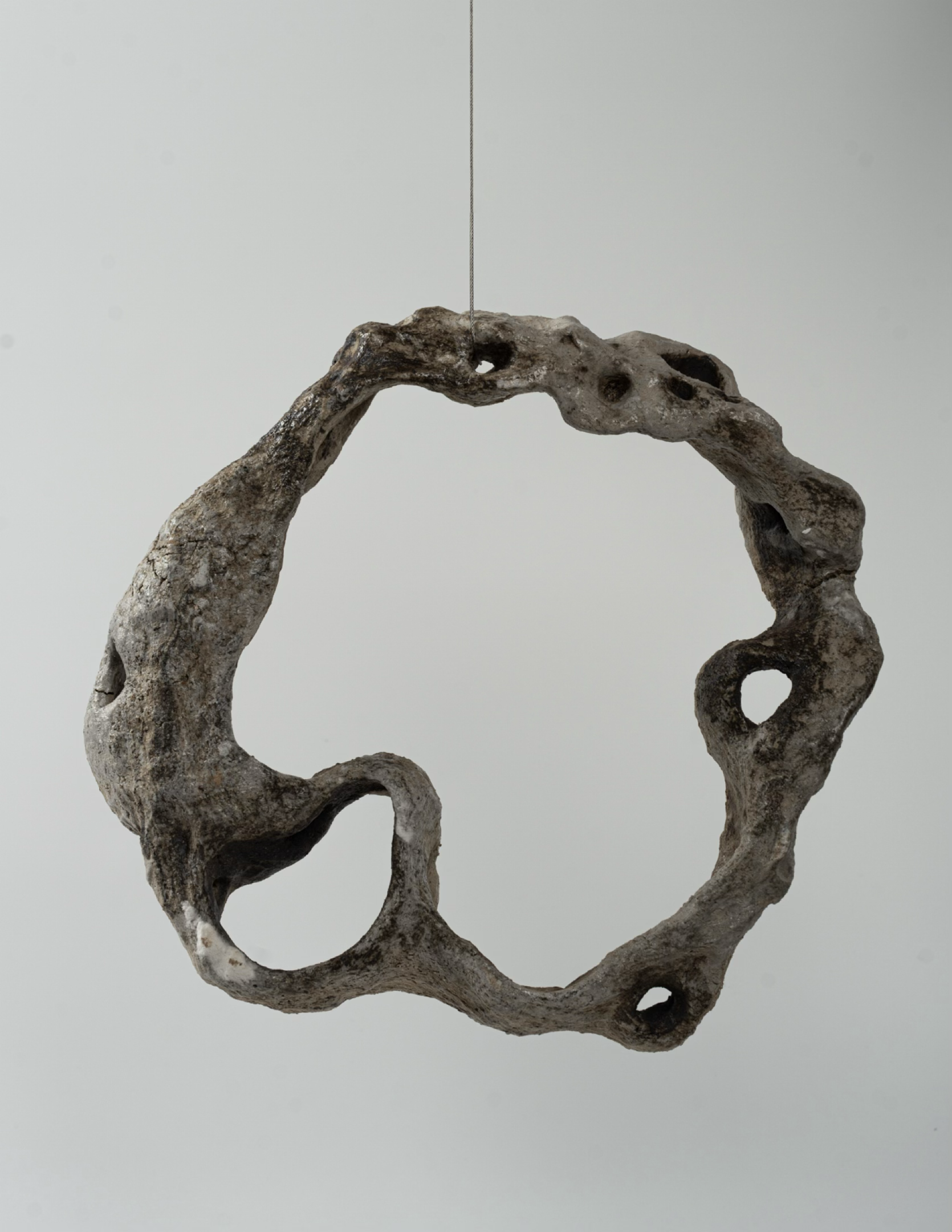 Roost — Bone, ceramic sculpture by Yangzi Huang